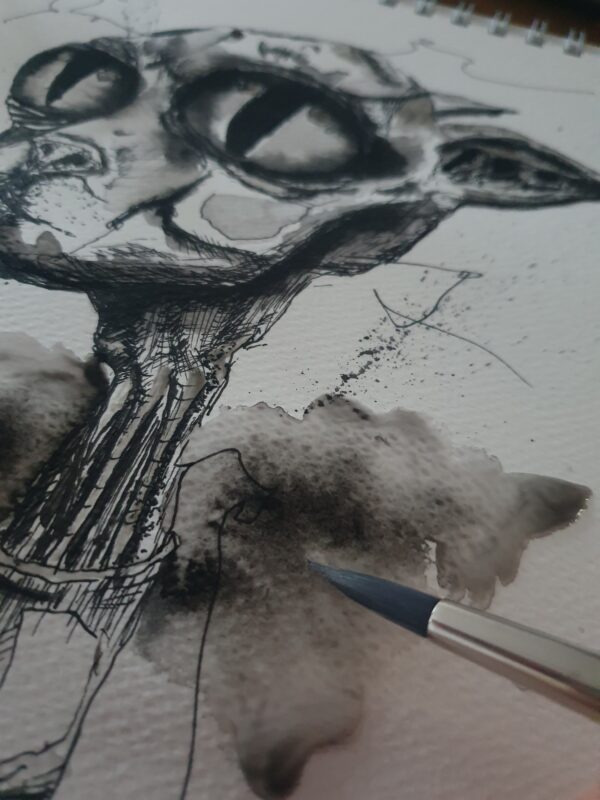 The Echo of the cat - Image 4